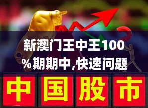 新澳门王中王100%期期中,文明解释解析落实