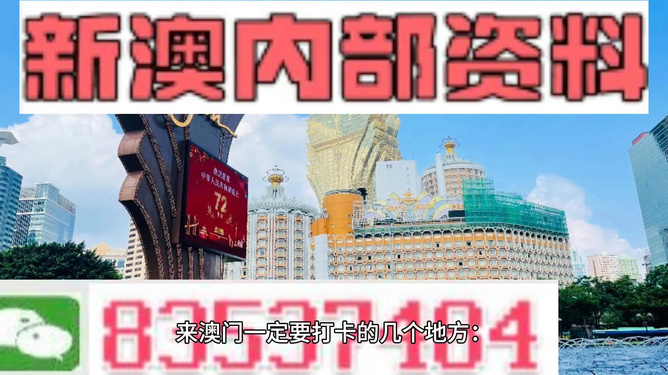 新澳2024年正版资料,精选资料解析大全