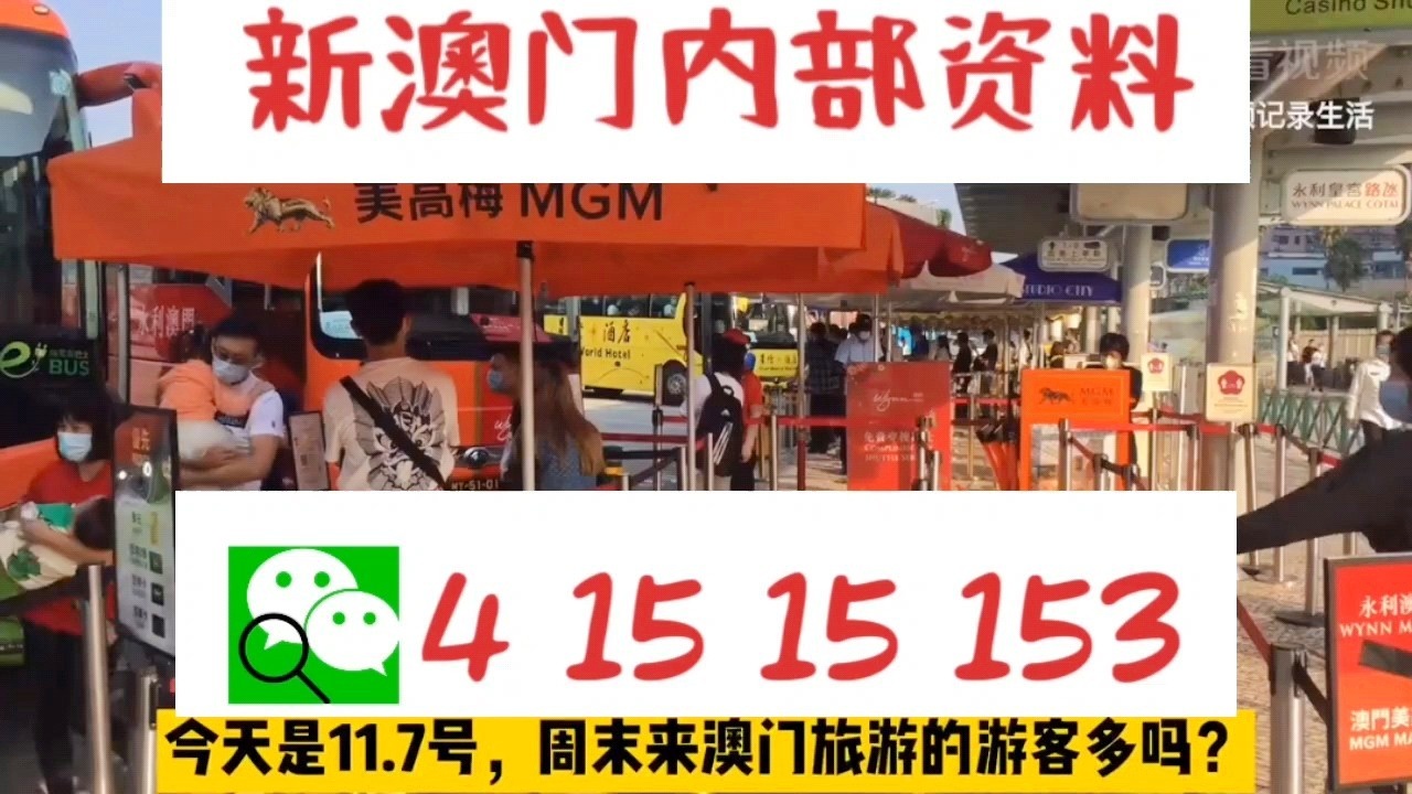 新澳门资料大全正版资料2024年免费下载,家野中特,最佳精选解释落实