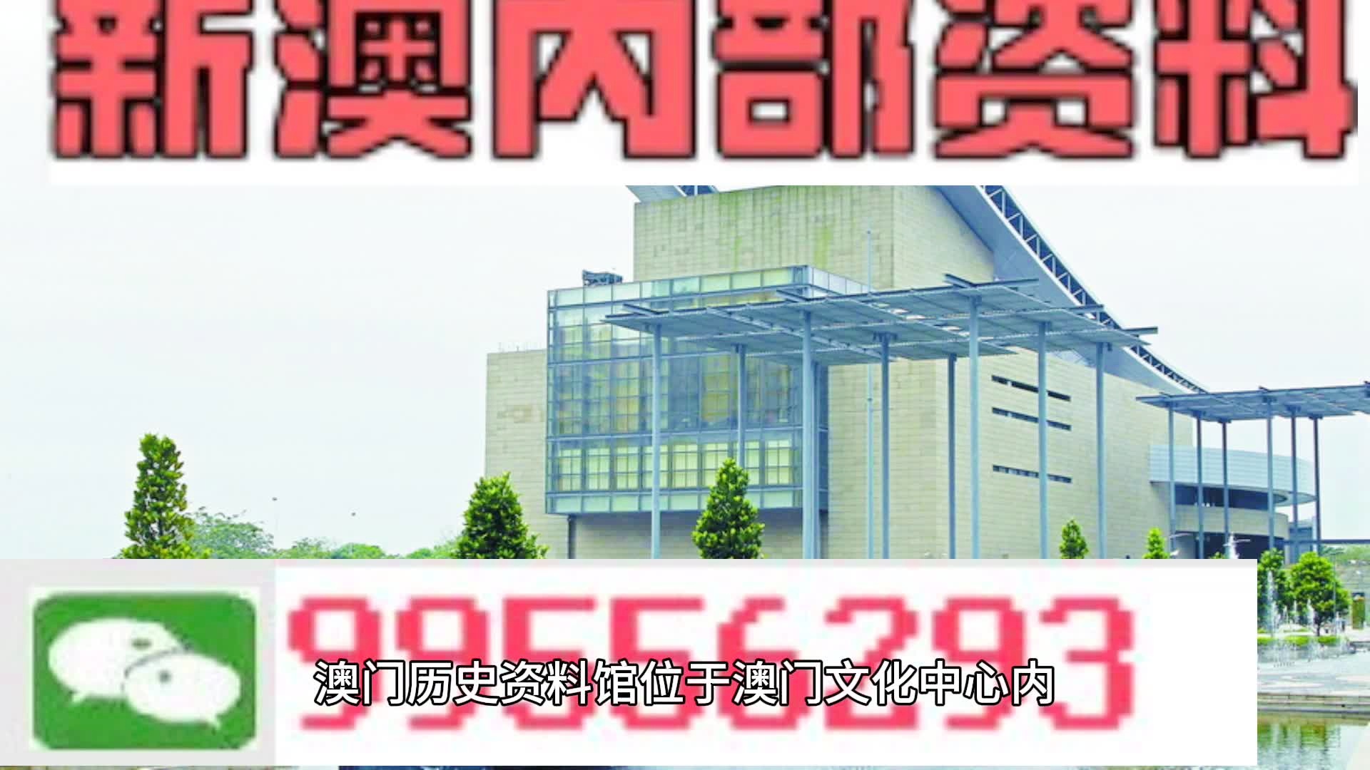 新澳门资料大全正版资料2024,富强解释解析落实