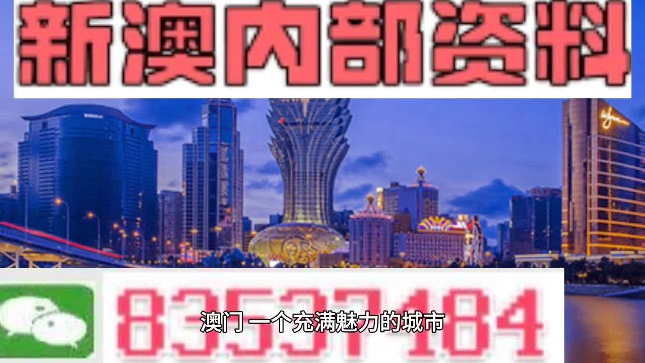 新港澳门免费资料长期公开,精选解释解析落实