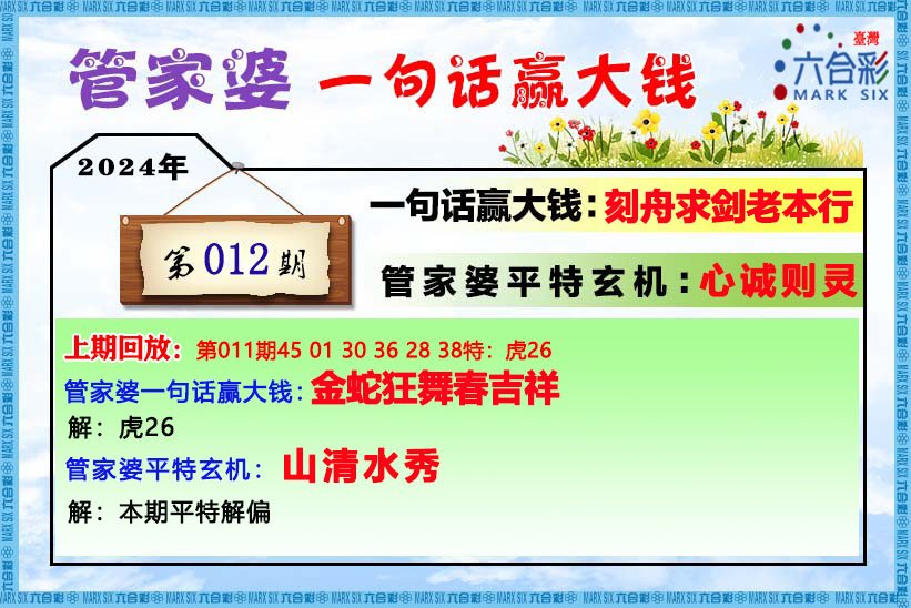 管家婆的资料一肖中特7,精选解释解析落实