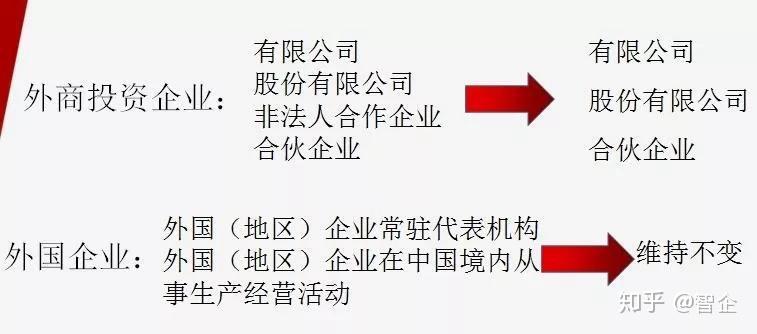 2024澳门449资料大全,富强解释解析落实