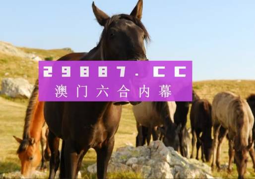 管家婆一肖一码100%中奖澳门|精选资料解析大全