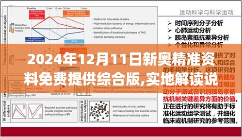 2024新奥资料免费精准051,文明解释解析落实