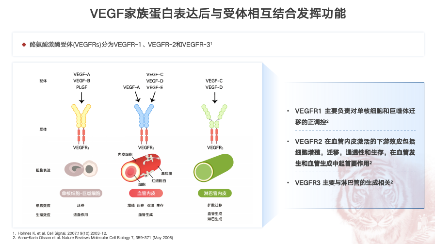 无创DNA检测在广东省的免费推广与应用