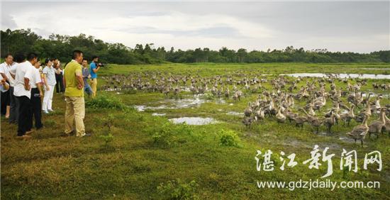 江苏域圆科技面试经历分享