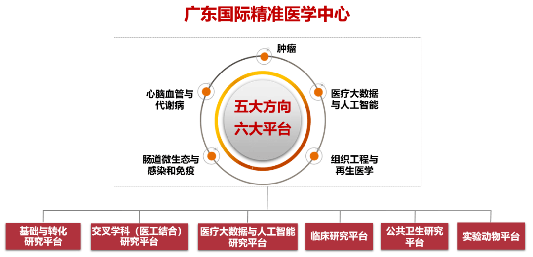 广东省医学考试平台，构建高效、智能的医学考试新模式