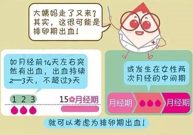 例假刚走半个月又来了，原因分析及应对策略