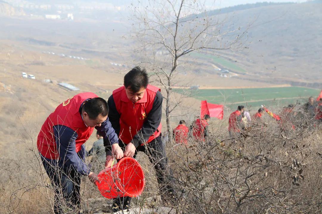 江苏绿芒科技，引领未来的绿色科技力量