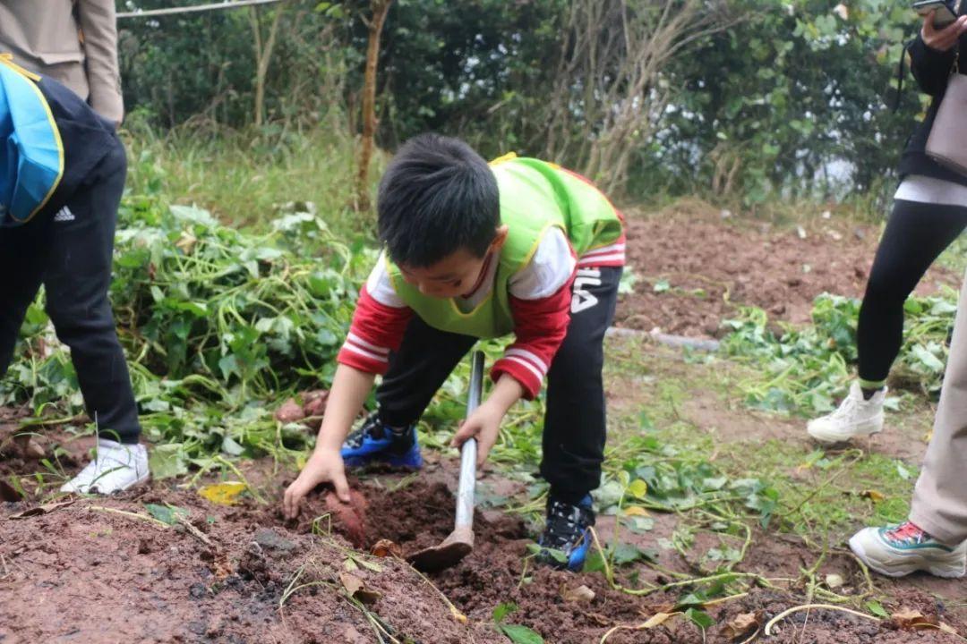 广东省劳动科技实践活动的深度探索