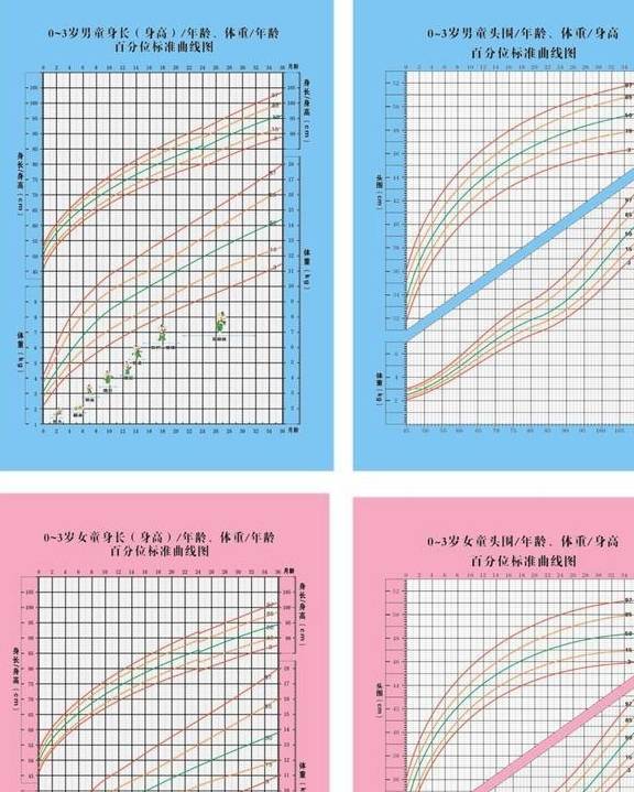 三个月标准身高体重，如何科学评估与合理调整