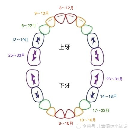 宝宝最早几个月长牙，牙齿生长规律与注意事项