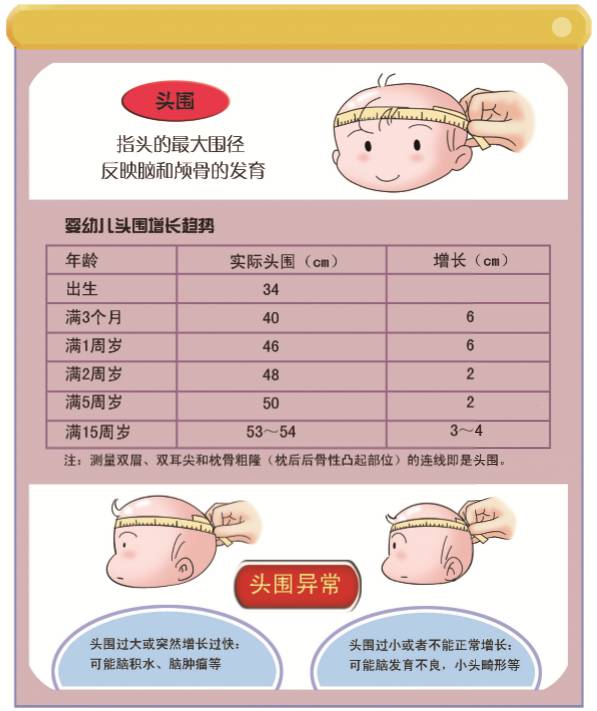 关于17个月宝宝头围标准的文章