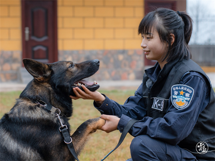 广东省警花与警犬，守护平安的勇敢双翼