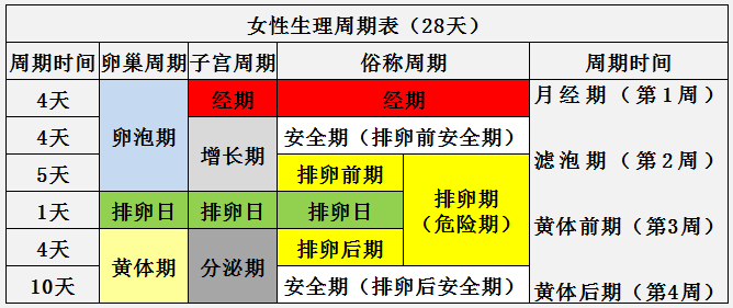 女子一个月排卵几个——深度解析女性生理周期中的奥秘