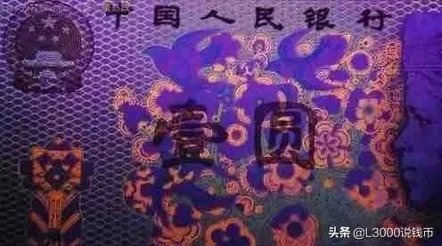 广东金龙商贸有限公司，商业巨龙的崛起与未来展望