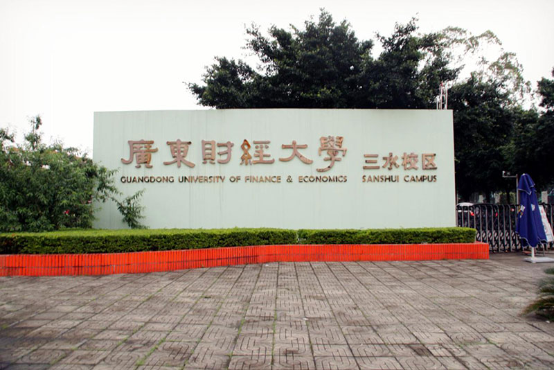 广东省财经大学的几本身份，深度解读与解析